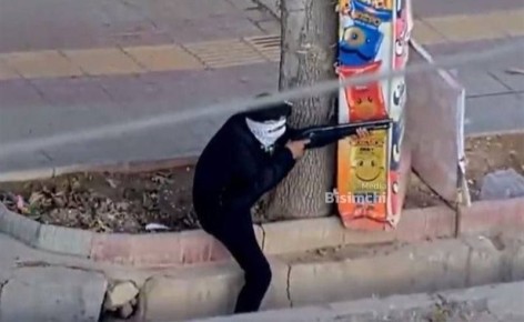 ����� �����: ��������� ��� ���������� � ������� ������������ � �����