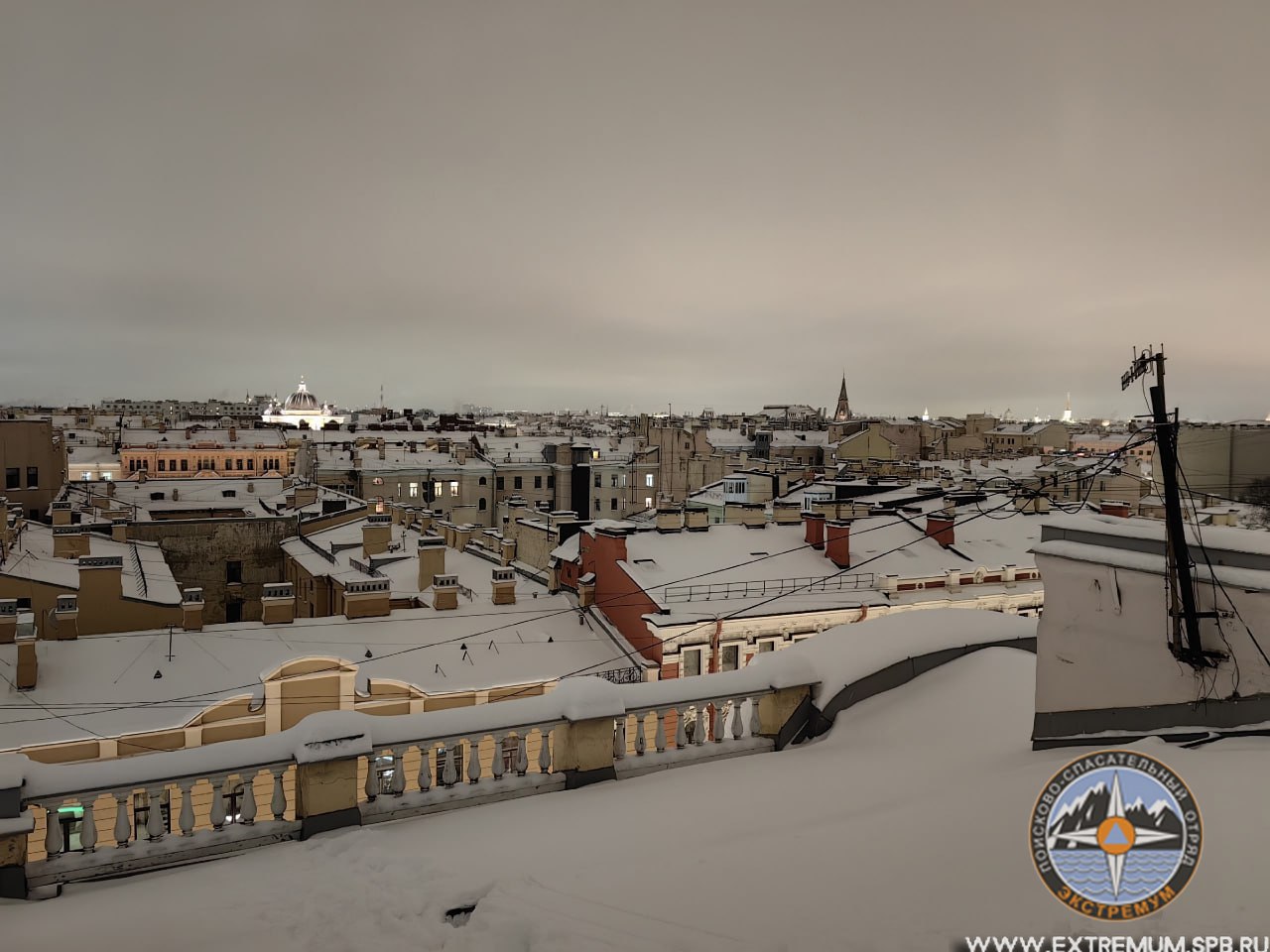 Более двух недель волонтёры «Кошкиспас» спасают рыжего кота, забравшегося в дымоход камина в центре Петербурга Более двух недель волонтёры «Кошкиспас» спасают рыжего кота, забравшегося в дымоход камина в центре Петербурга