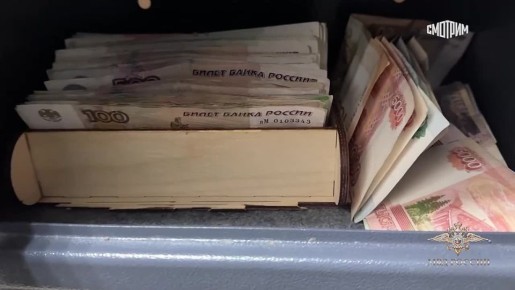 В Санкт-Петербурге задержали иностранца, который незаконно зарегистрировал 1742 мигранта в одном из хостелов города, сообщила Ирина Волк