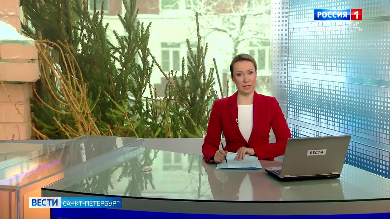 В Петербурге и Ленинградской области проходит акция "Ёлки, палки и щепа"