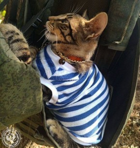 ��� ������: ������� ������ �������