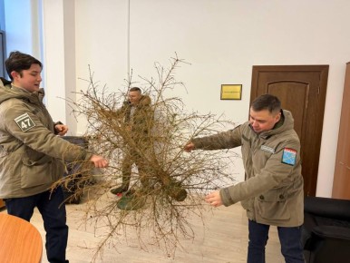 ������� ���������� �������� ��������� ������������� ���������� ����