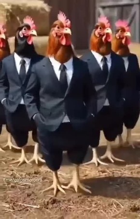 ���� ��������: ������ � ����������: ���� ����������� �������� ����� ������� � ����������� ����� ����������������