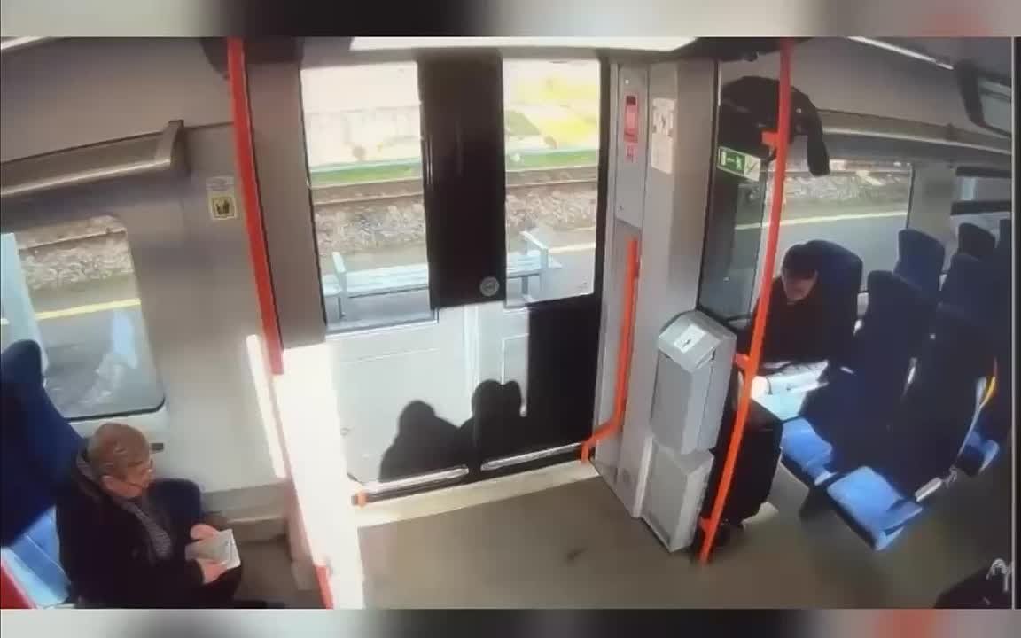 Полиция раскрыла кражу телефона в электричке из Ораниенбаума