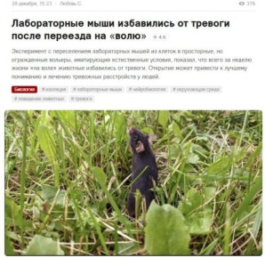 Вот почему людей запирают в тесных квартирах, в тесных городах