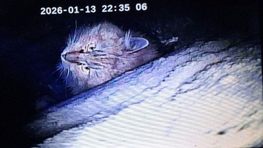 ���� �� �������� ��� ����� ��� ������ ������� � �����-����������