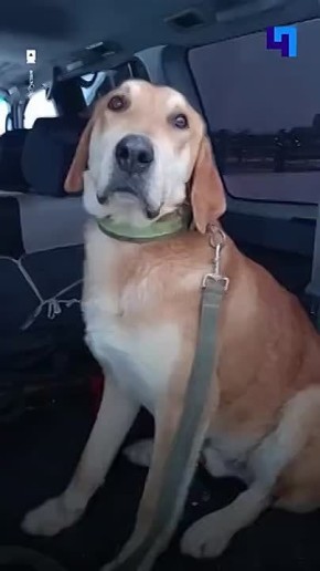 �� ���� �� ������: ������ ������ ����� ��������� ������ ������ �����