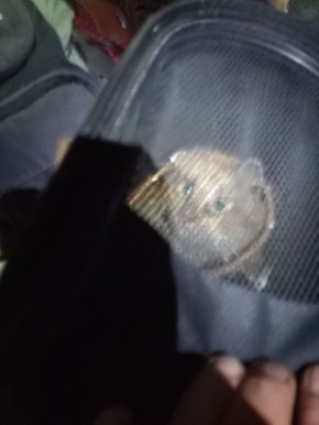 ����� ��� �������� � ��������