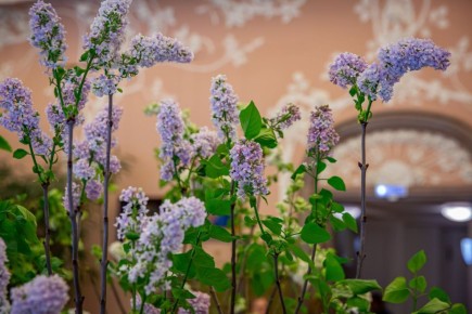 Александровский дворец в Царском Селе заблагоухал цветочными ароматами