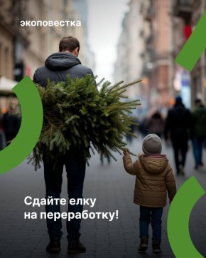 Подарите новогодней ёлке вторую жизнь!