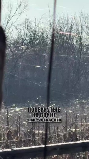 ����� �� ������� �����.. ����������� ����� �������� ���� � ����