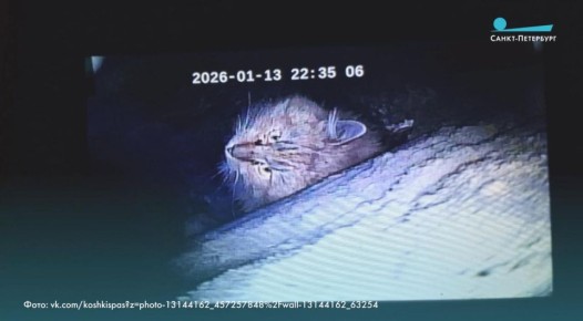 ��������� ��� ����� ��� ������ ���������� �������� ��������� ������ ����, ����������� � �������� ������������� ������ �� ����� ����������� � ����������