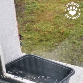 15 ������ ���������� ������������� ���� �������� ���� (��� ���� ������� �������-��������� �� ����?), � ��� � ��� �������� � ���������� ��������� ����� ������ �����