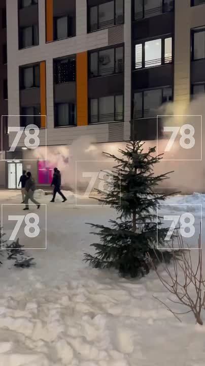 ����� ������ Wildberries ��������� �� ������ ����������