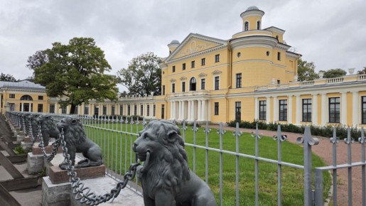 ���������� ������� ���������-���������� �� ������ ���� ��������� �� ������� �� 2,5 ���� ������