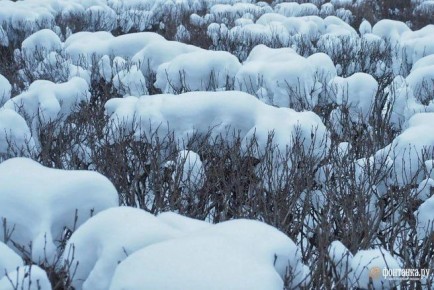 �������� � ���������� �������� � �������, �� ��� � ����������� �������� ����������� �������� �����