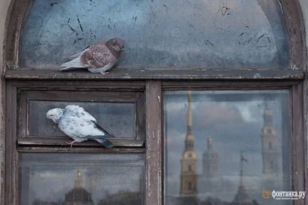 ���, ��� �����. � ������� ��������� ��������� ��� �������� ��������� ����������� � ���� ���������� � ������������, ���������� ������� � -6�-8 ��������