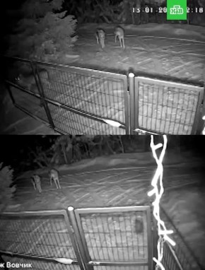 ���� ������ ���������� � ������� �������� ��� �����