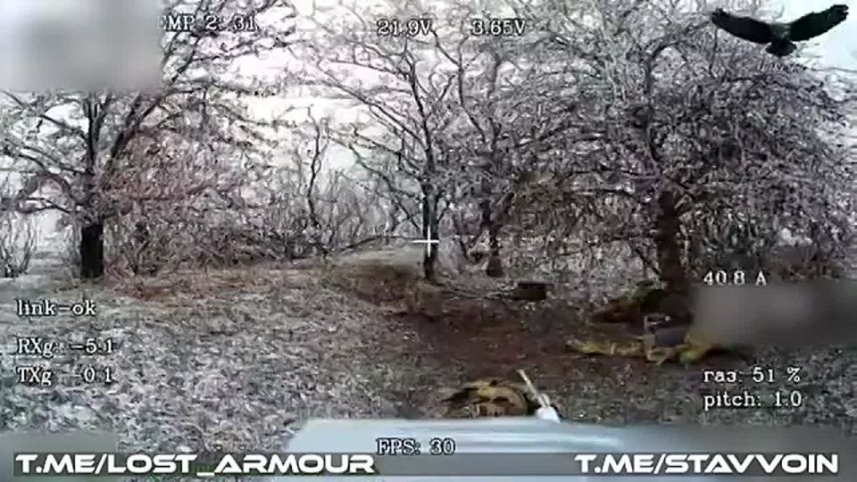 ����������� ������ ������ ��� ��������������� FPV-������� "���" � ������-������� �� ������������