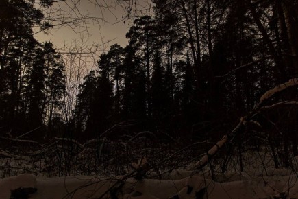 ��� ������: ������������ ��������� �������;