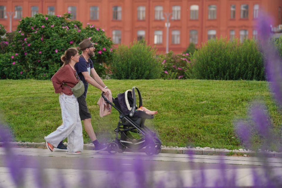 � ������� � ������ �������� ������ �����������