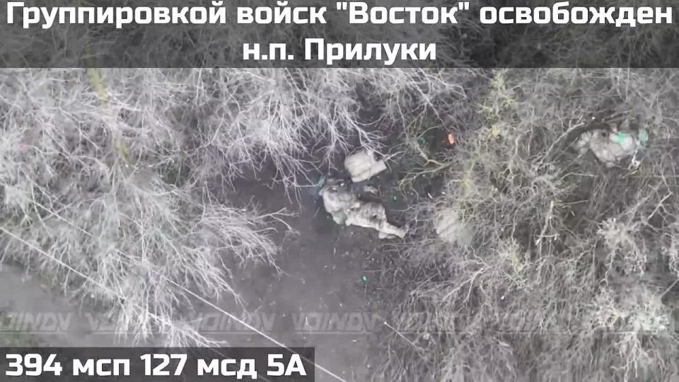 ��������� ���: ���������� ����� ���������� ������� � ��������