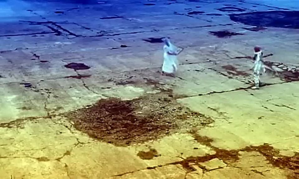 �������� ����������� ���������� �� �����24