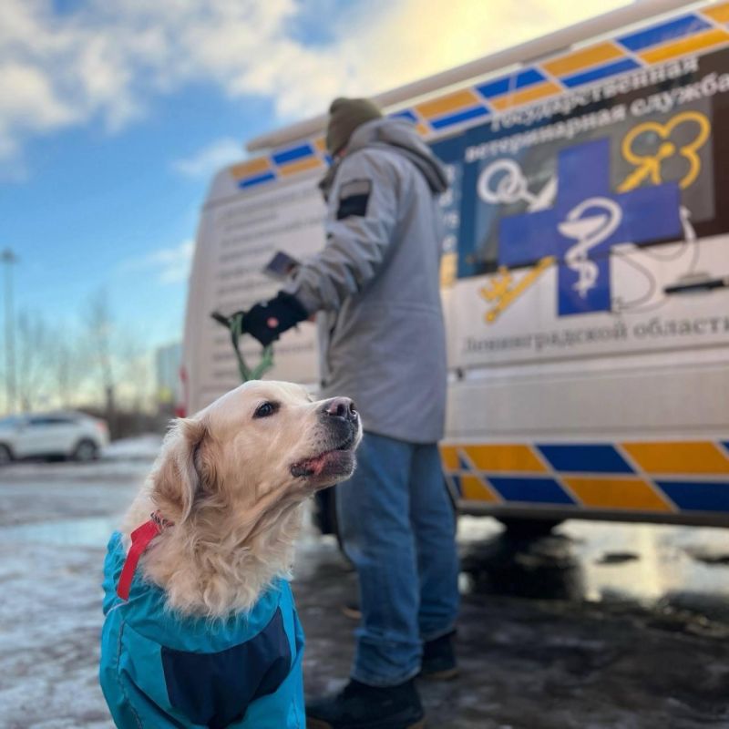 ����� 90 ����� ����� ���������������� � ����������