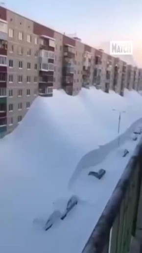 ���� ����: ���� �������� ���� (�������, ������, ��� ���������) ������ ����� � �������� �� ��������� � ���������� �� 30 ��� ����������� �� ��������