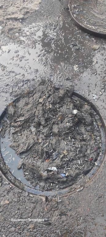 ���� � �������: ��������� ���������� ����� ������� ����������� �� �������� �����