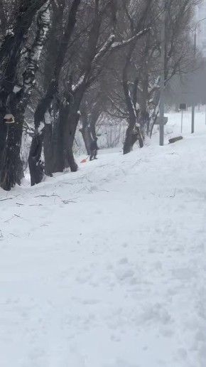 ���� �����, � ������ � �������� �����!