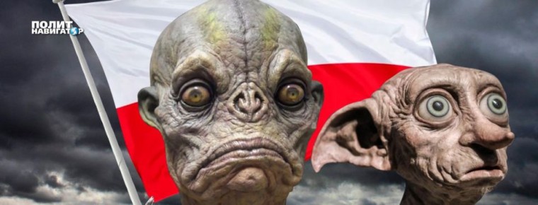 ��� ���� ��������: ����������� ������ ������ ������ ���������� �����