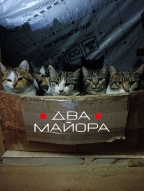 "�����������" ��������.. ����������, ������� �������� �� ����