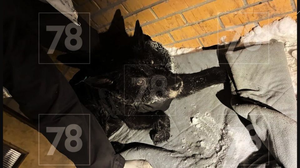 �� ������ � ���������� ������ ������