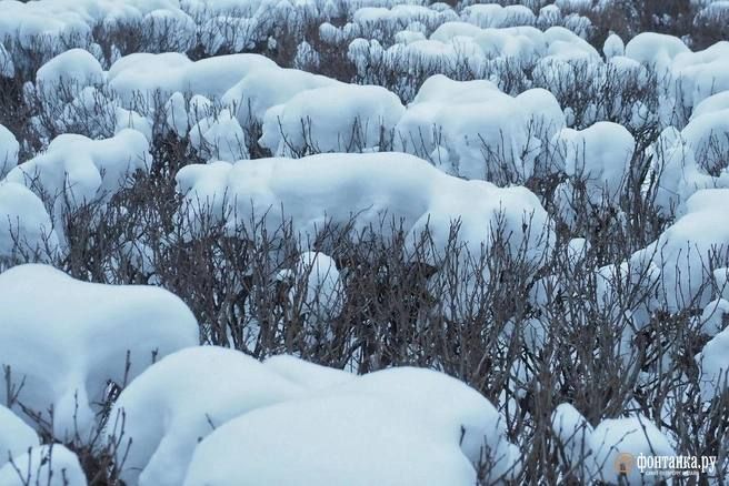 В Петербурге сегодня будет на пару градусов теплее климатической нормы