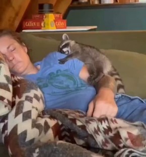 ��������� ����, ������!. ������