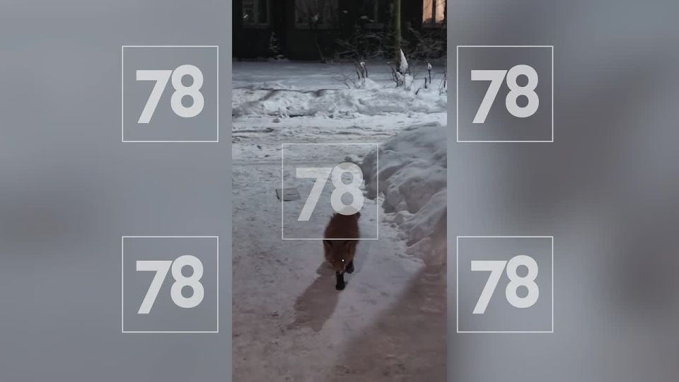 �� ������ ������ ��������� ��� ��������� ���� ������ ����