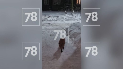 �� ������ ������ ��������� ��� ��������� ���� ������ ����