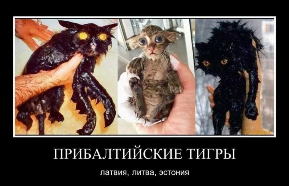 ������� ��� ��������� � ��������� ����� � �������, ���� ��� � �� ������ ��� ����唻