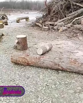 ������� ���������� ���������� ������ � �������������