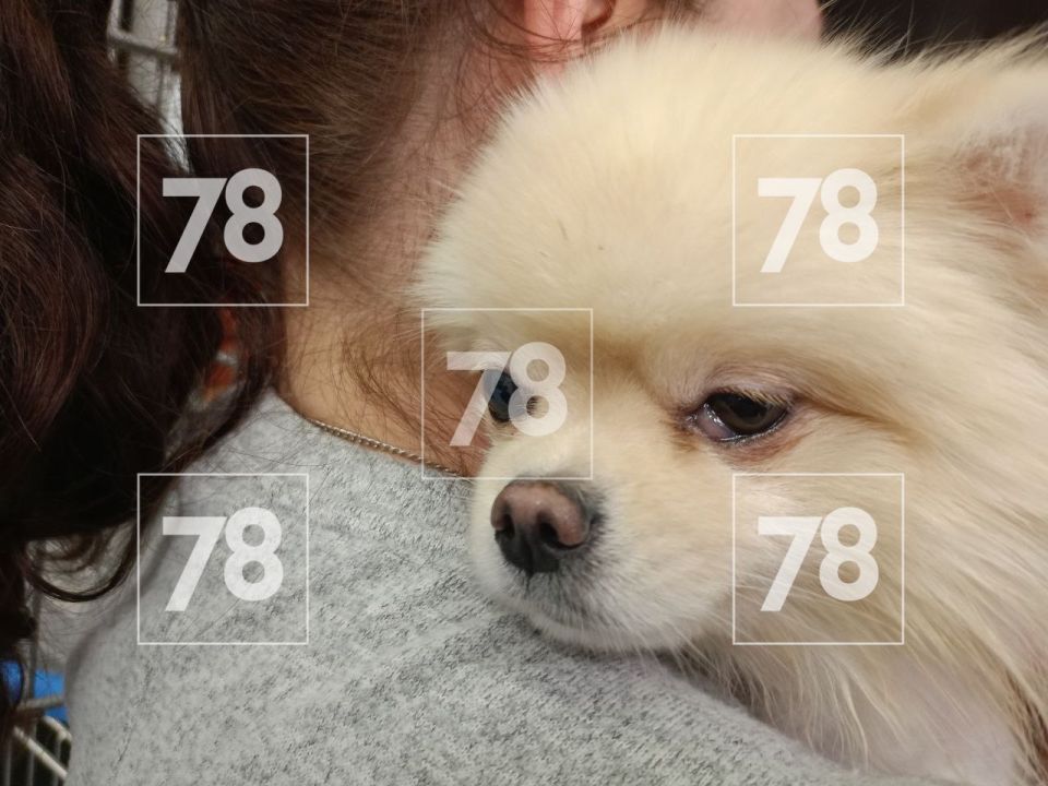 ��� �� �������� ��˻: �������� ��� ��������� ������������ ����� � ������� ������������