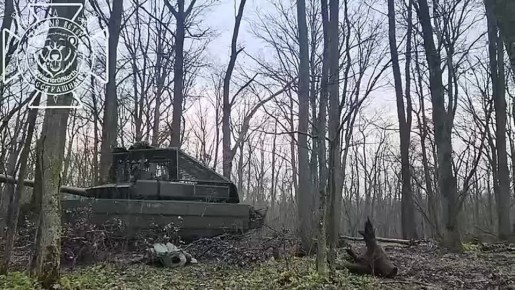 ����������� ����������� ( ������ �� @DnevnikDesantnika)