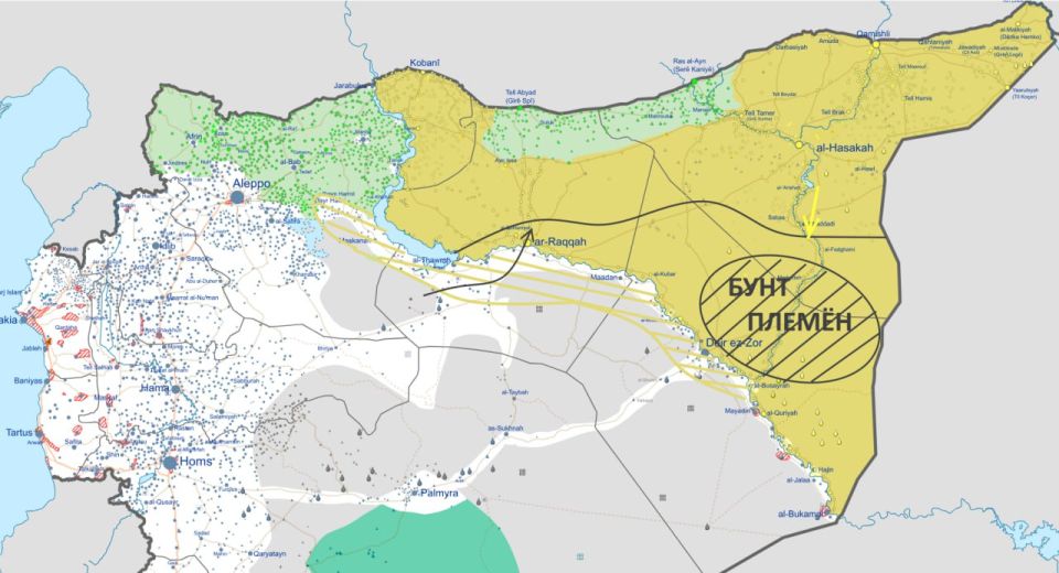 ���� ��������: ����� � ����� (�� ����� 18.01.26): ����� ���