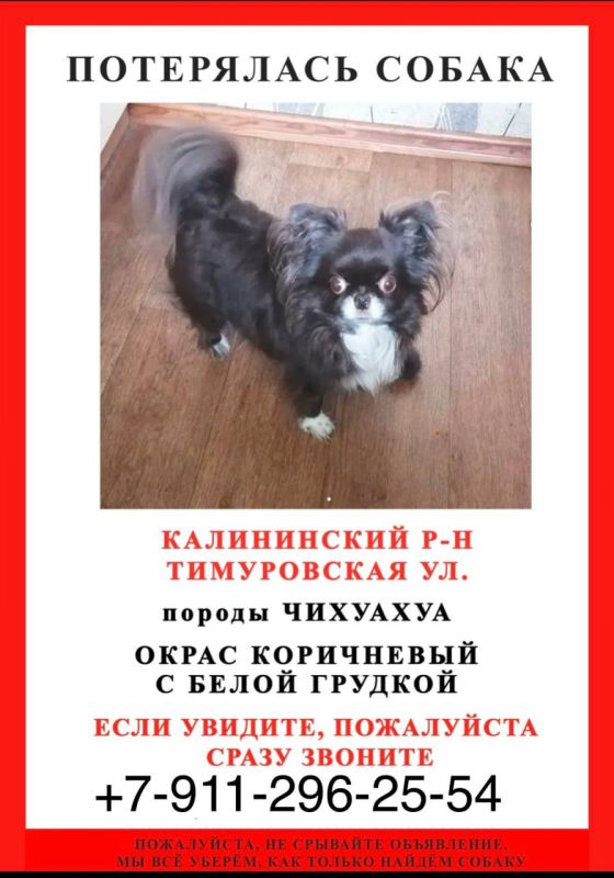 ���� �������� � ���� � ���������� �����: ����������� ������ � ����� ���������� �� �������� ������