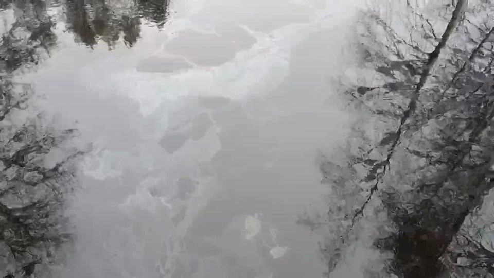 ������ ������������� ������ ���������� ���������� �� �������� ����� �� ���� ����