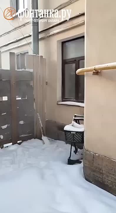 ��������� ���������, ��� ���������� � ����� �� ���������, ������� �������� ������ ��� ���� �����