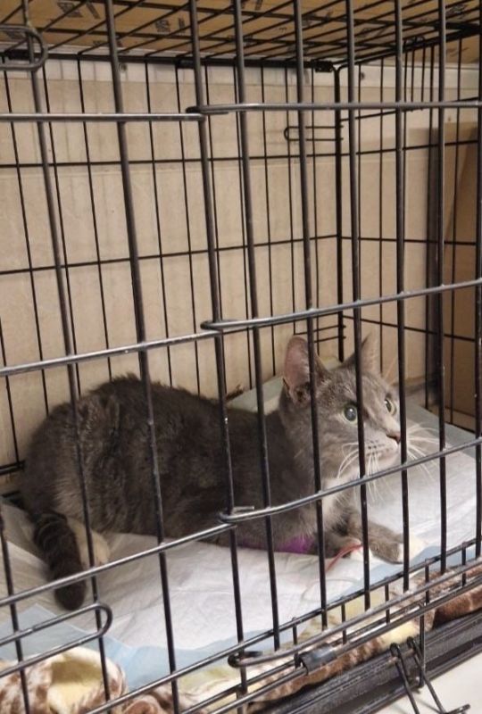 ��������� �������� � ���������� ��������� ��� ����� �������� � ��������� �������