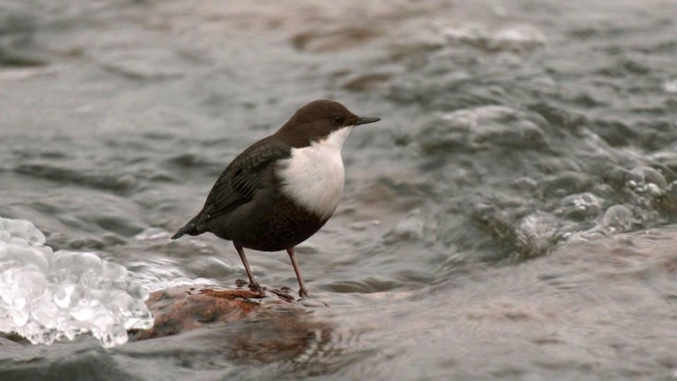 ��������� ��������� ��������� �������� ������������� ������