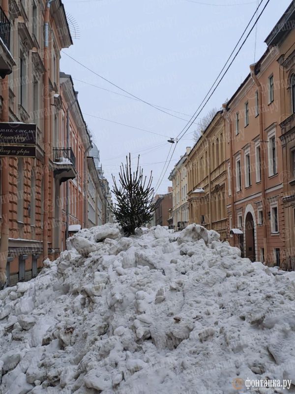 �� �������� ����� �������� �������� ������� � ����� ������� ��� ����������� �������� �� ������