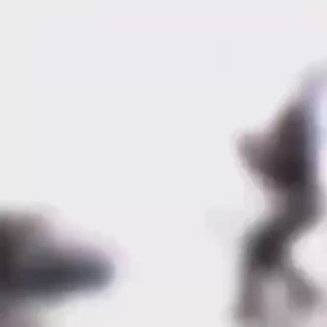 �������� �� ���������� ���� � �������������� ��������� ������������ �� �������